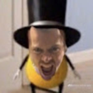 Meet your Posher, Louis